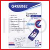 GREEBEL CORRECTION PEN 120717 12PCS