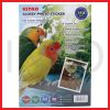 ginee_20260919133514610_6620704822.jpg KENKO GLOSSY PHOTO STICKER 160GSM A4 20 SHEETS
